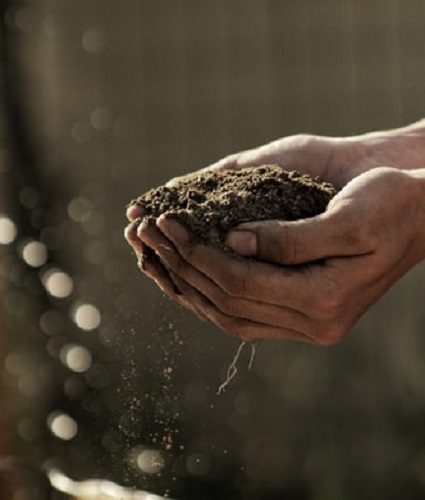 Quality of soil in agriculture business